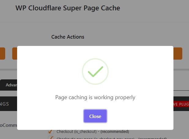 Cara Setting WP Cloudflare Super Page Cache